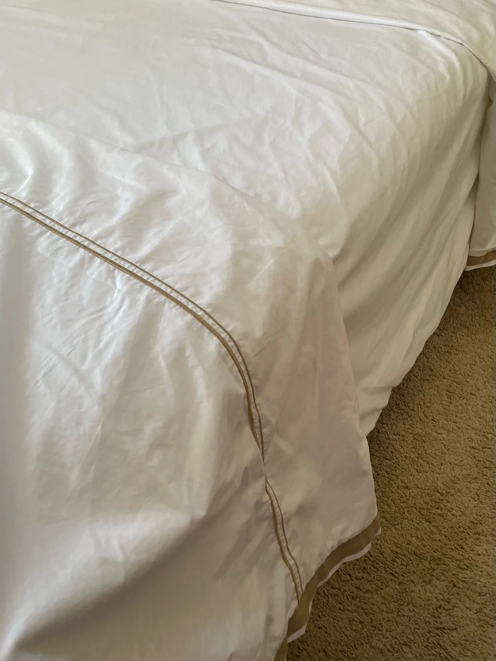 Hotel Collection 3 Pc Egyptian Cotton King Duvet & Standard Shams